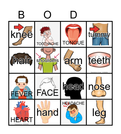 BODY PARTS Bingo Card