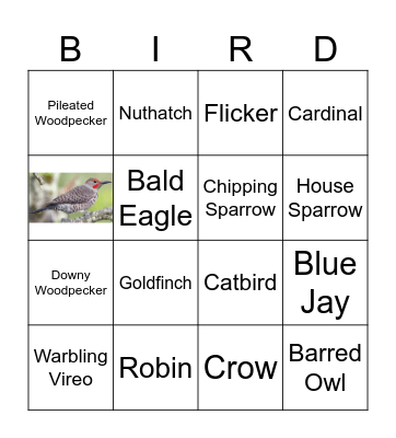 Autumnal Bird Bingo Card