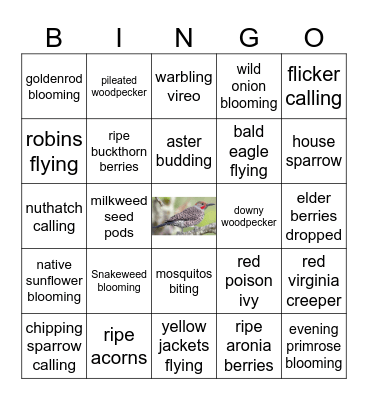 AUTUMN Phenophases Bingo Card