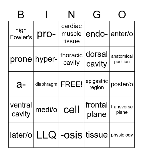 Basics of the Body Bingo Card