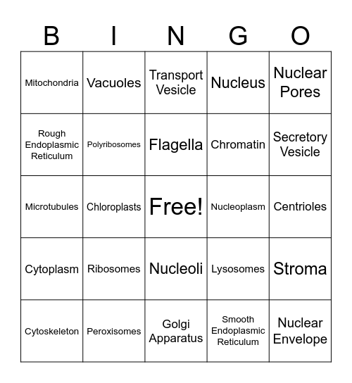 Organelle Bingo Card