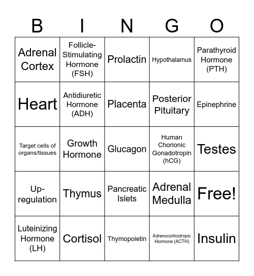 Endocrine System Bingo Card