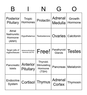 Endocrine System Bingo Card