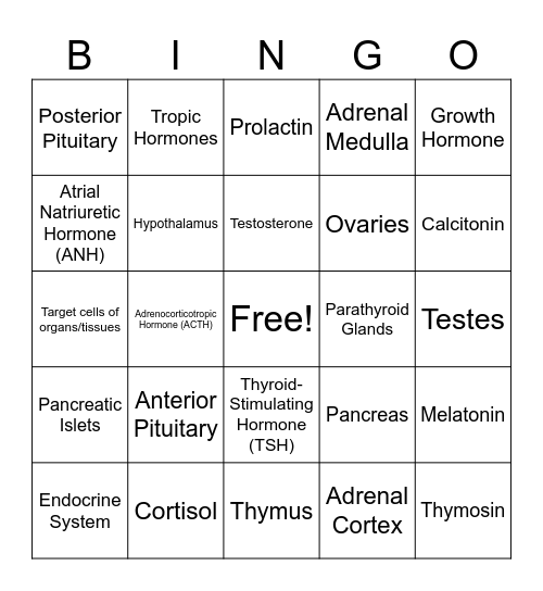 Endocrine System Bingo Card