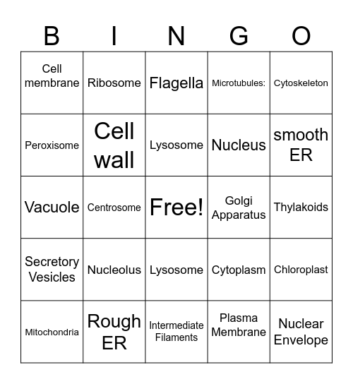 Proteins Bingo Card