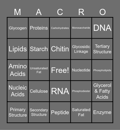 Macromolecules Bingo Card