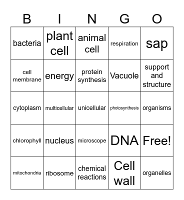 Cells Bingo Card