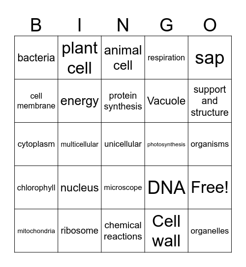 Cells Bingo Card