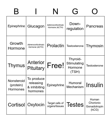 Endocrine System Bingo Card