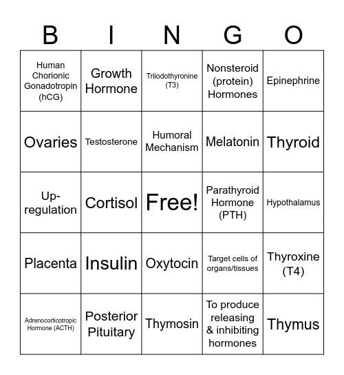 Endocrine System Bingo Card