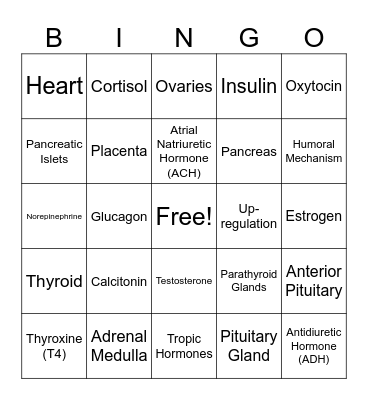 Endocrine System Bingo Card