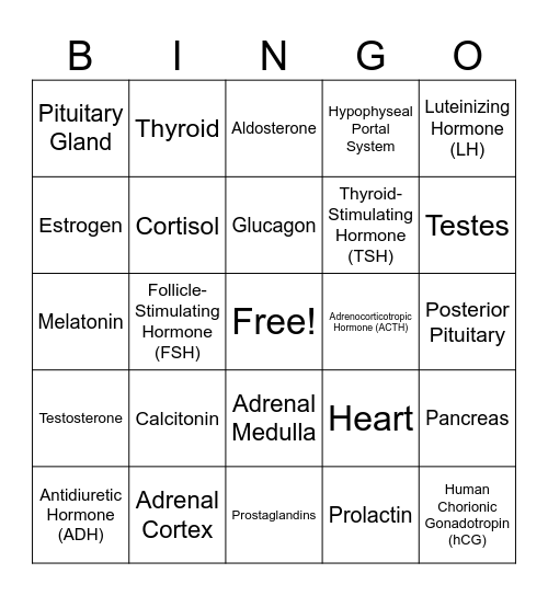 Endocrine System Bingo Card