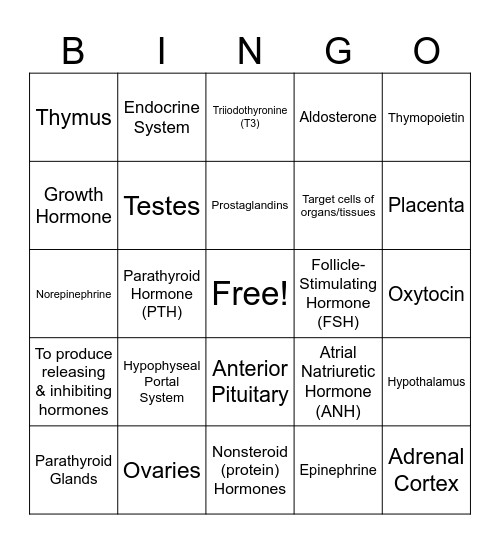 Endocrine System Bingo Card