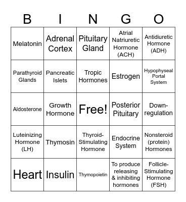 Endocrine System Bingo Card