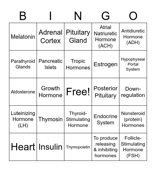 Endocrine System Bingo Card