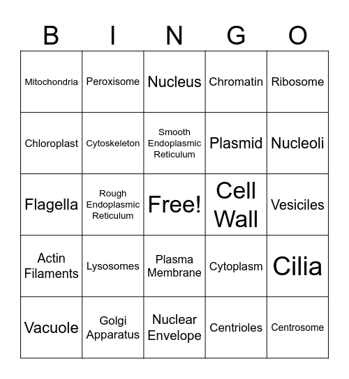 Protein Bingo Khup Bingo Card