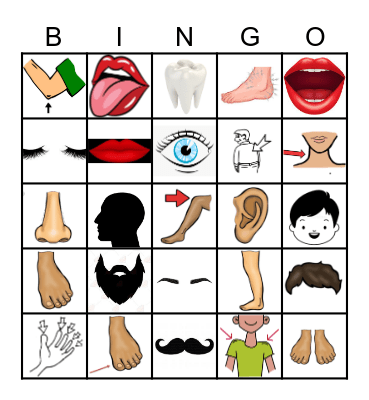 Die Körperteile Bingo Card