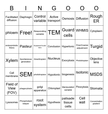Review of Science 10 Vocabulary Bingo Card