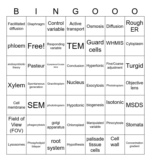 Review of Science 10 Vocabulary Bingo Card