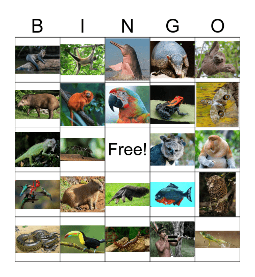 Amazon Rainforest Inhabitants Bingo Card