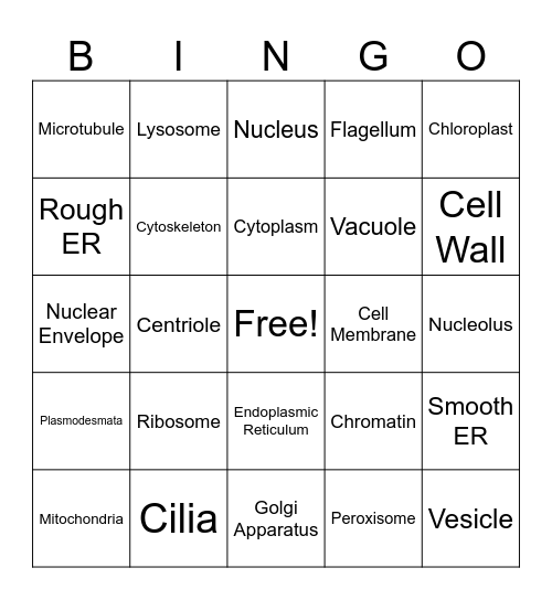 Protein Bingo Card