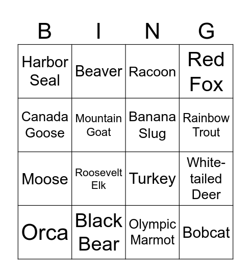 Animal ID! Bingo Card