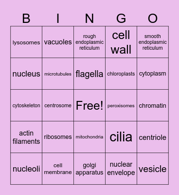Biology Bingo Card