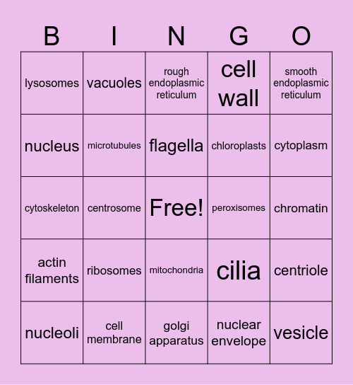 Biology Bingo Card