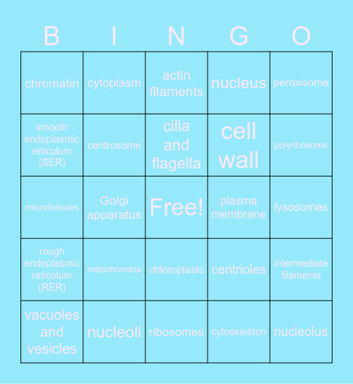 protein bingo Card