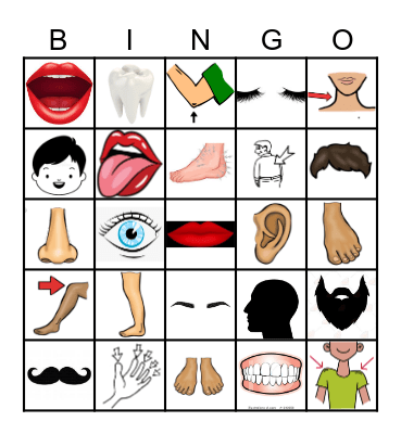 Die Körperteile Bingo Card