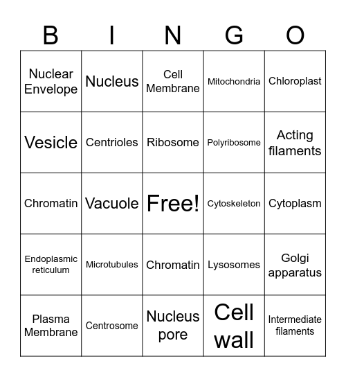 Protein Bingo Card