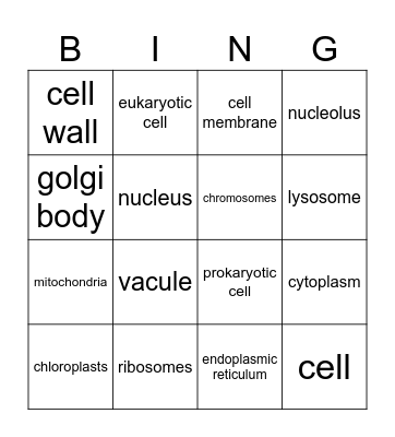 Cell organelles Bingo Card