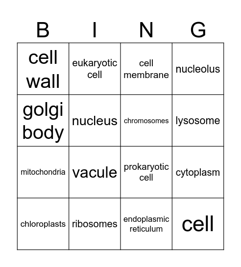 Cell organelles Bingo Card