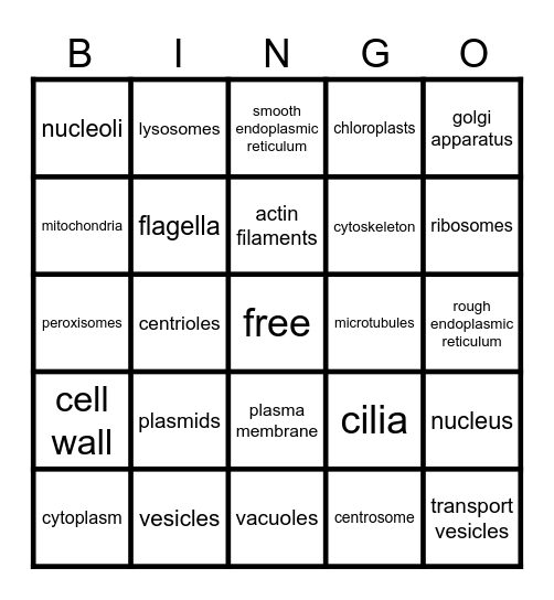 Cell Organelles Bingo Card