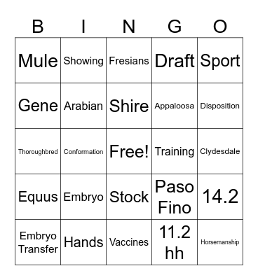 Equine Industry Bingo Card