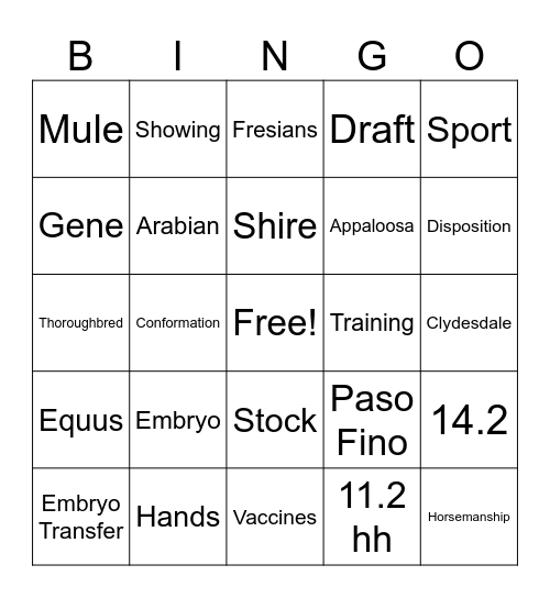 Equine Industry Bingo Card