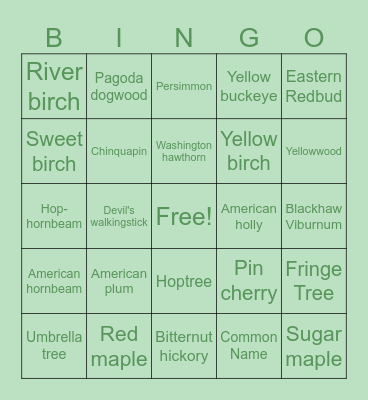 Cleaned Bingo Card