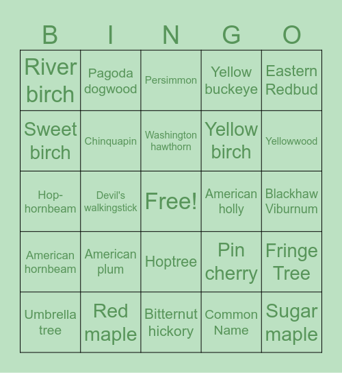 Cleaned Bingo Card