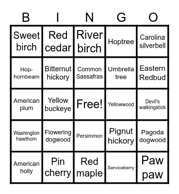 Cleaned Bingo Card