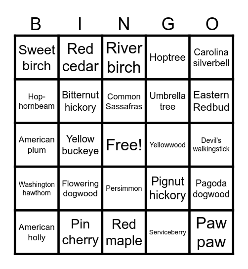 Cleaned Bingo Card