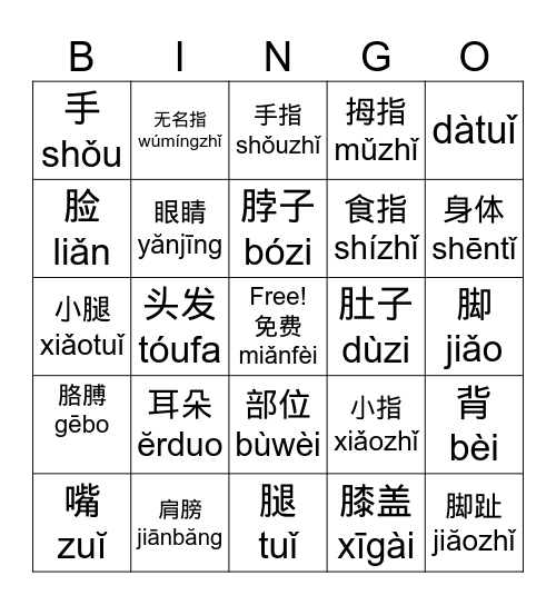 身体部位 (shēntǐ bùwèi) Bingo Card