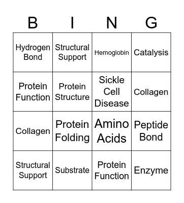 AP Biology Group 6 Bingo Card