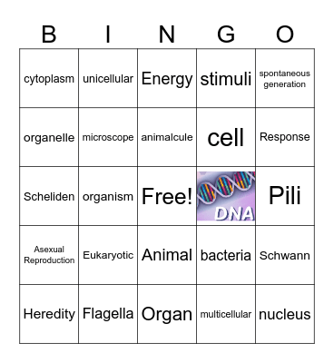 Characteristics of Life, Cell Theory, & Prokaryotes Bingo Card