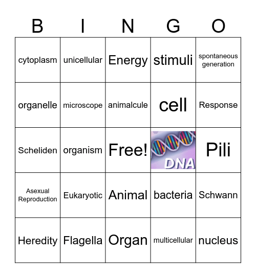 Characteristics of Life, Cell Theory, & Prokaryotes Bingo Card