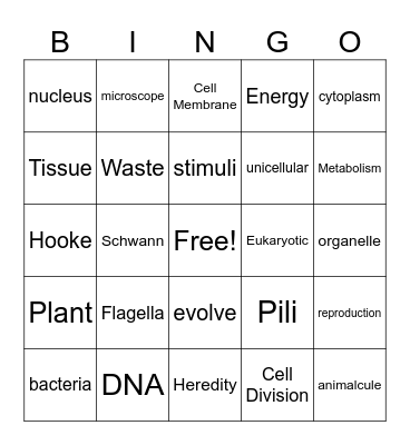 Characteristics of Life, Cellular Organization, & The Cell Theory Bingo Card
