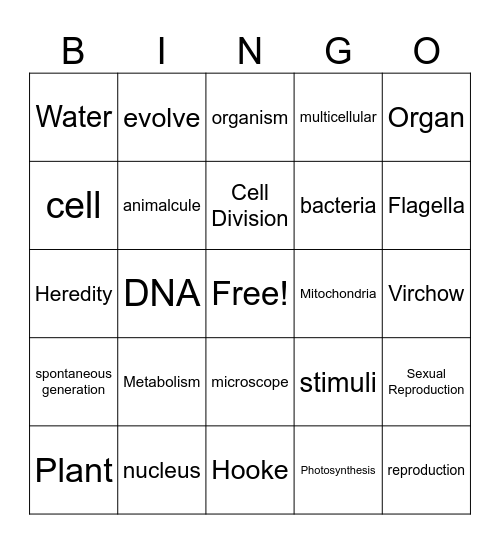 Characteristics of Life, Cellular Organization, & Cell Theory Bingo Card