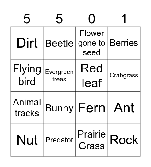 Blackout Bingo - Nature Walk Edition Bingo Card