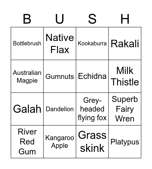 CERES Bush Bingo Card