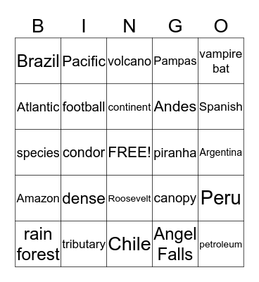 South America Bingo Card