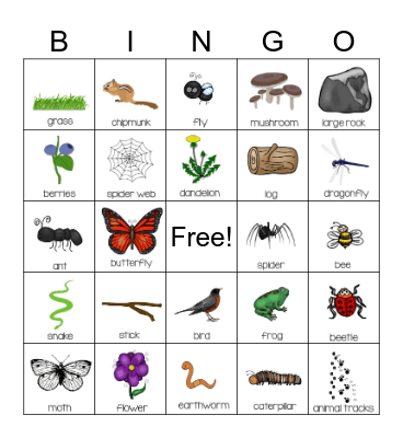 Nature Bingo Card